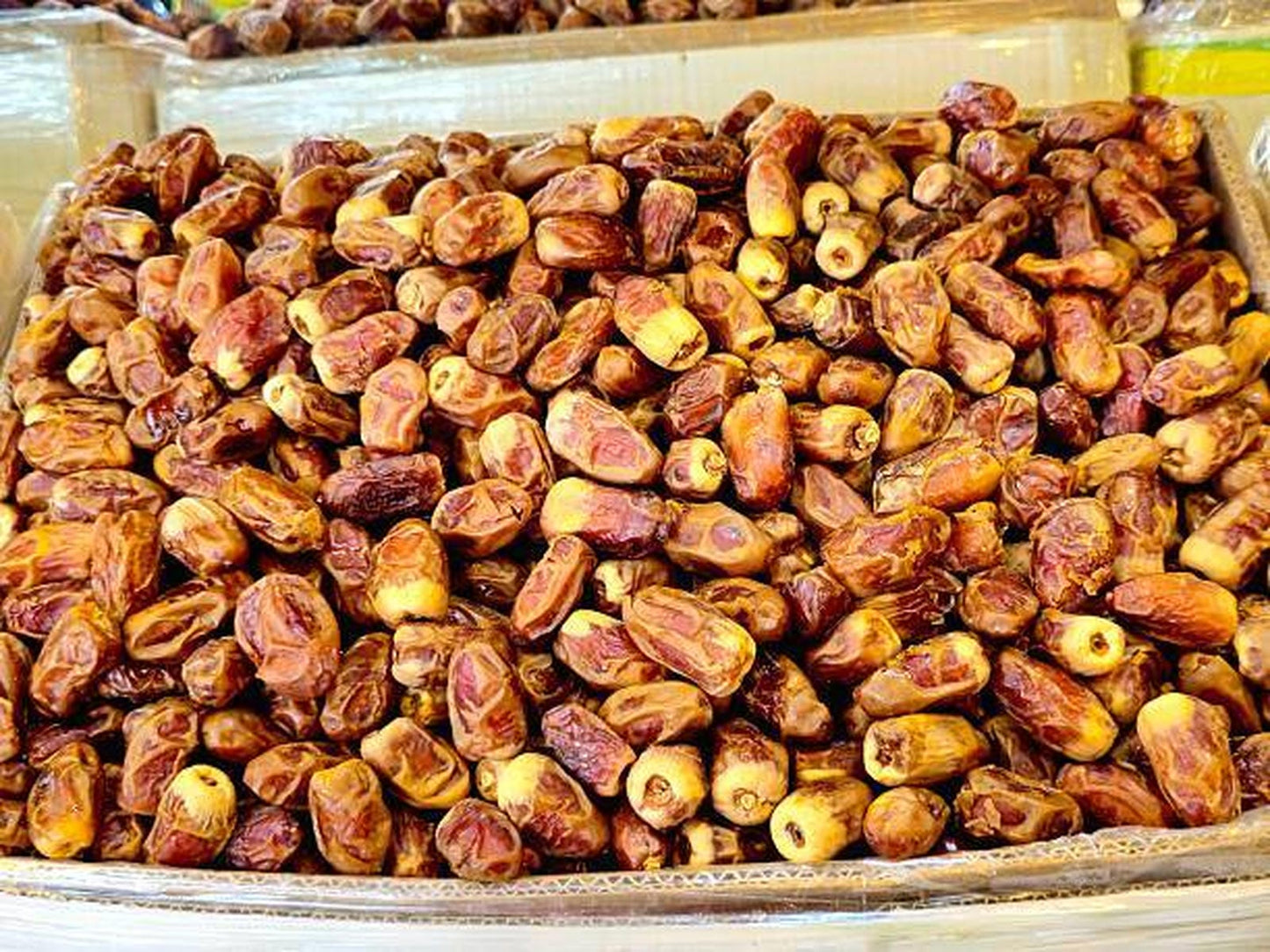 Premium Sukari Dates Saudi Arabia